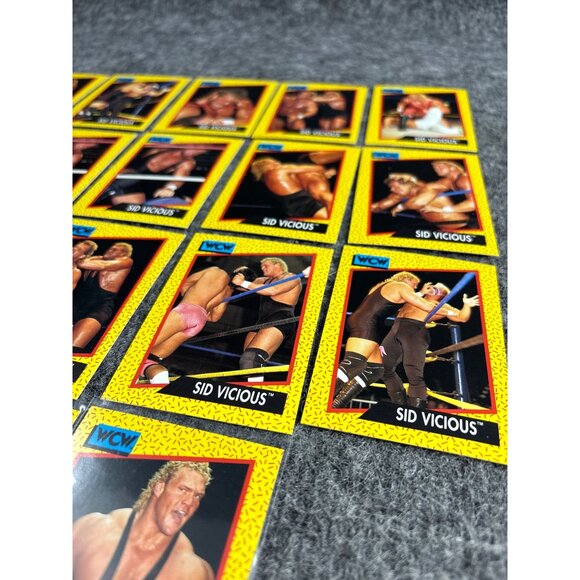 WCW 1991 Sid Vicious Trading Card Set - Picture 3 of 5